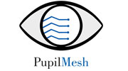 PupilMesh